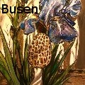 Alexandria Weaselwise Busen - Morel in the Iris Bed - Oil Painting