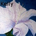 Becca Kelly - Purity - Paintings