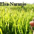 Elsa Naranjo