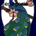 Glass Menagerie - Peacock - Glass