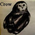 Hollo Crow -  - None