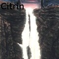 Ione Citrin -  - Oil Painting