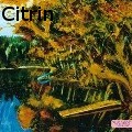 Ione Citrin -  - Oil Painting