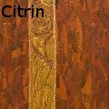 Ione Citrin -  - Acrylics
