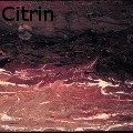 Ione Citrin -  - Acrylics