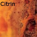 Ione Citrin -  - Acrylics