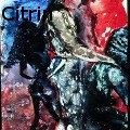 Ione Citrin -  - Water Color