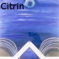 Ione Citrin -  - Acrylics