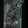 Ione Citrin -  - Sculpture