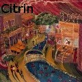 Ione Citrin - The Promenade  - Water Color