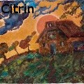 Ione Citrin - Fall Retreat  - Water Color