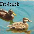 J Frederick - Duck Dating - Oil Painting
