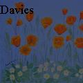 Janet Davies - Poppies And Primroses - Paintings