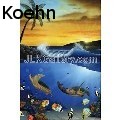 Jeremy Lee Koehn - Turtle Paradise - Acrylics
