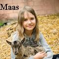 Lars Maas - Plymouth’s animals - None
