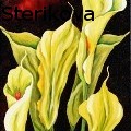 Luba Sterikova - Emerald Lilies - Oil Painting