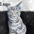 Margot Lugo -  - None