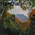 Mark Marshall -  - Paintings