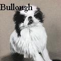 Nancy Tydings Bullough - Leo - Drawings