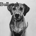 Nancy Tydings Bullough - Quill - Drawings