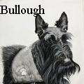 Nancy Tydings Bullough - Therapy Dog - None