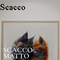 Nick Vincent Scacco -  - None