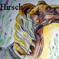Rose Ann Hirsch - Awakening - Drawings
