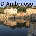 Sam D'Ambruoso -  - None
