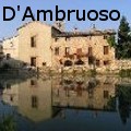 Sam D'Ambruoso -  - None