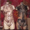 The Kuriologist  - Anatomical Wall hanging - Sculpture