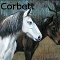 Tina Lanza Corbett - Cracker Horses - Oil Painting