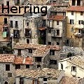 Victoria L Herring - Hilltown near Nice, France - Photography