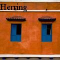 Victoria L Herring - Colorful Wall in Cartagena, Colombia - Photography