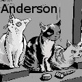 Zoe Anderson - Judge Kitties - Drawings