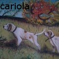 antonio antoniocariola cariola - cani curiosi - Oil Painting