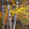 Jeff Sojka -  - Paintings