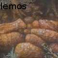 zafiro lemos - Golden Rock - Oil Painting