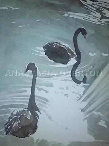Anastasia Overton Black Swans