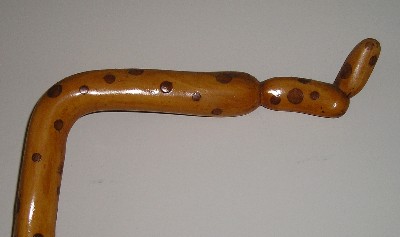 stick from spotted forrest
