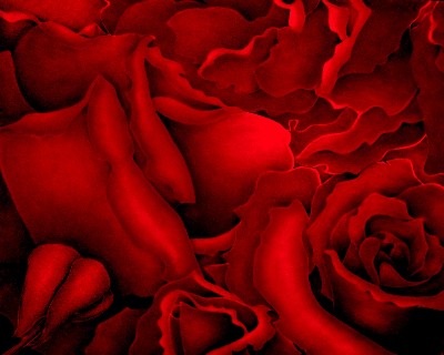 Terri Meyers Abstract Red Rose II