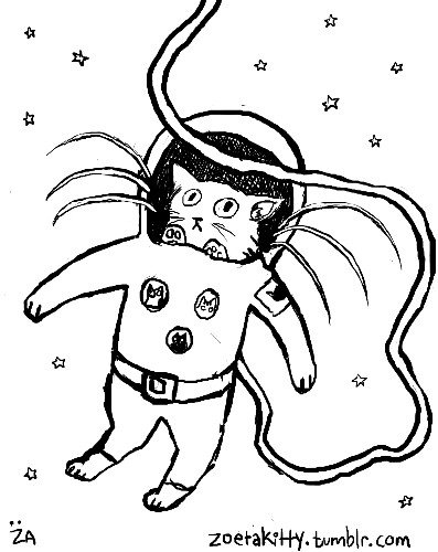 Kitty in Space