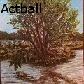  Actball - Reflections - Paintings