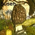 Alexandria Weaselwise Busen - The Elusive Morel - Oil Painting