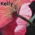 Becca Kelly - Poppies Coming and Going - Paintings