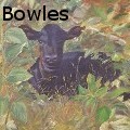 Bettie D. Bowles - Calf - Oil Painting