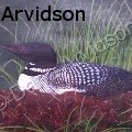 Dana M Arvidson -  - None
