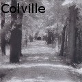 Darrel Colville - Country Lane - None