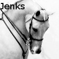 Denise  Jenks - Proud and Majestic Arabian - Photography