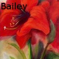Elaine Bailey - Red Amaryllis - Oil Painting