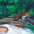 Heather Caton - dunns river - Paintings